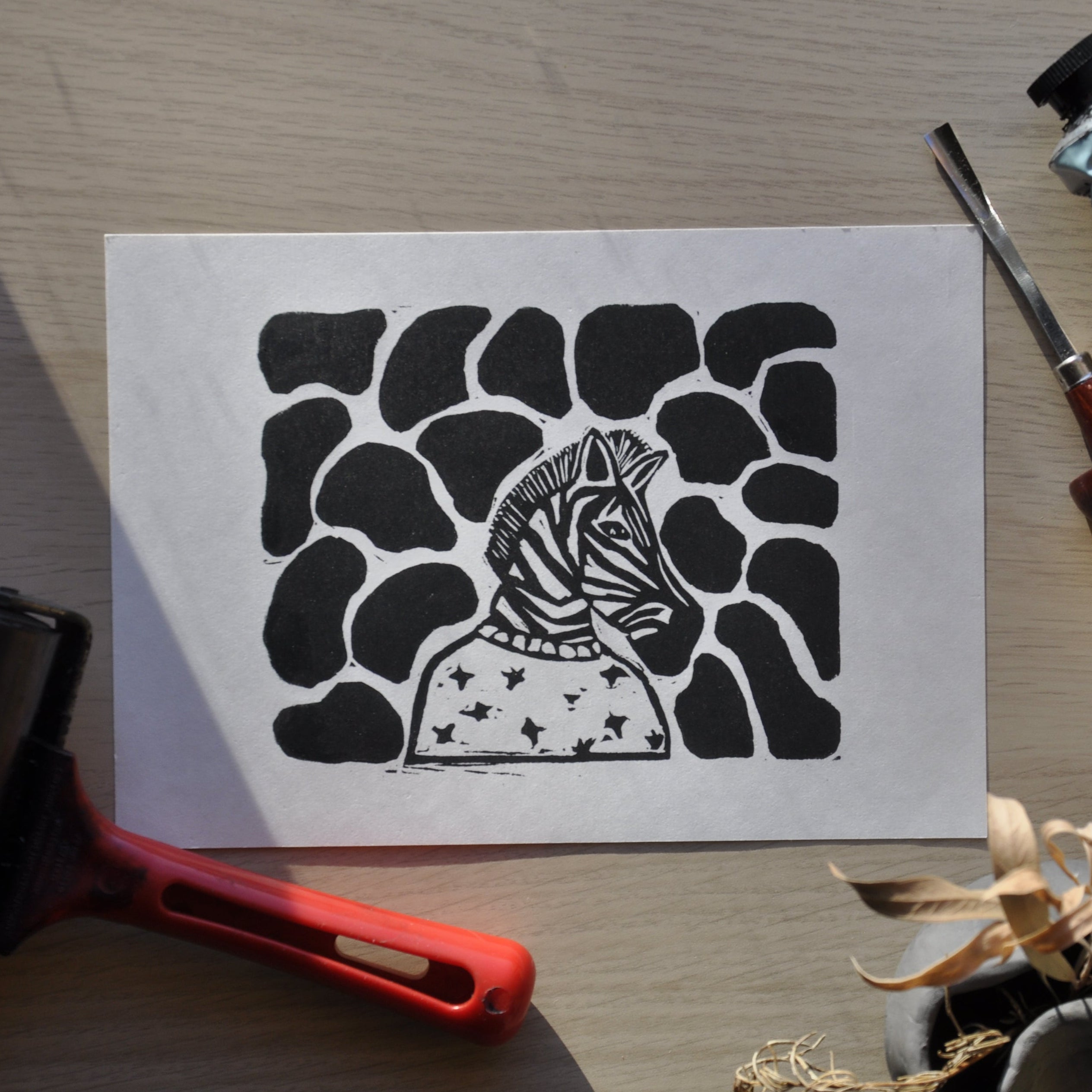 Sassy Zebra in Sweatshirt Print