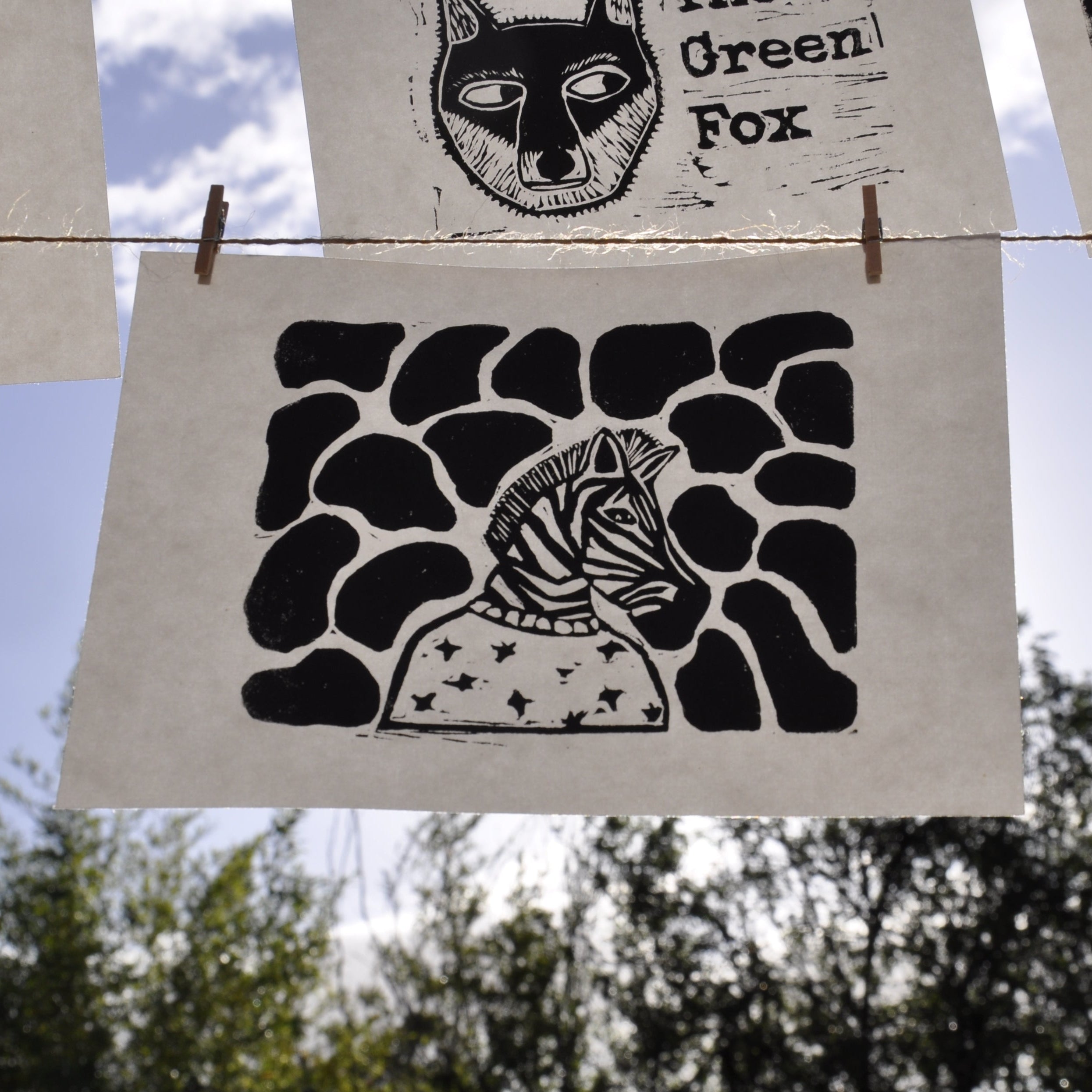 Sassy Zebra in Sweatshirt Print